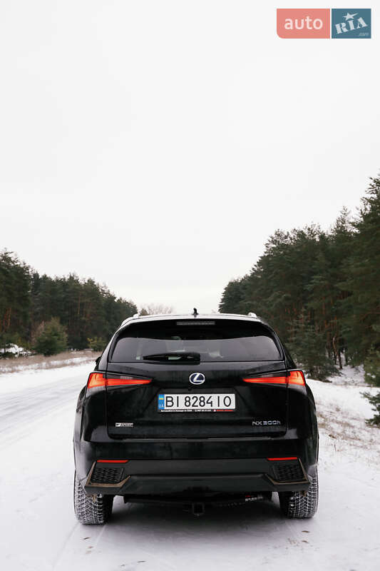 Позашляховик / Кросовер Lexus NX 2020 в Кременчуці фото 15 Позашляховик / Кросовер Lexus NX 2020 в Кременчуці