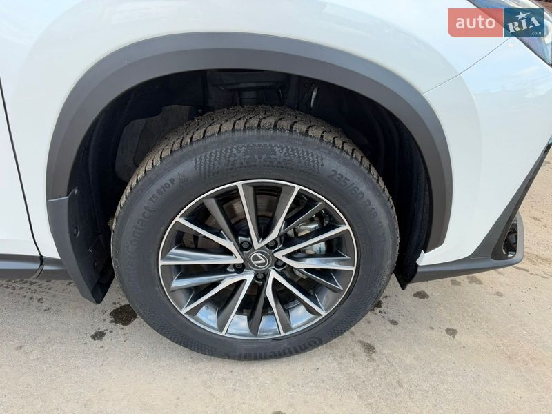 Позашляховик / Кросовер Lexus NX 2024 в Харкові