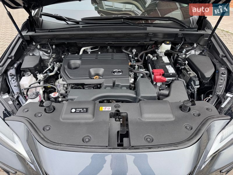 Внедорожник / Кроссовер Lexus NX 2023 в Одессе