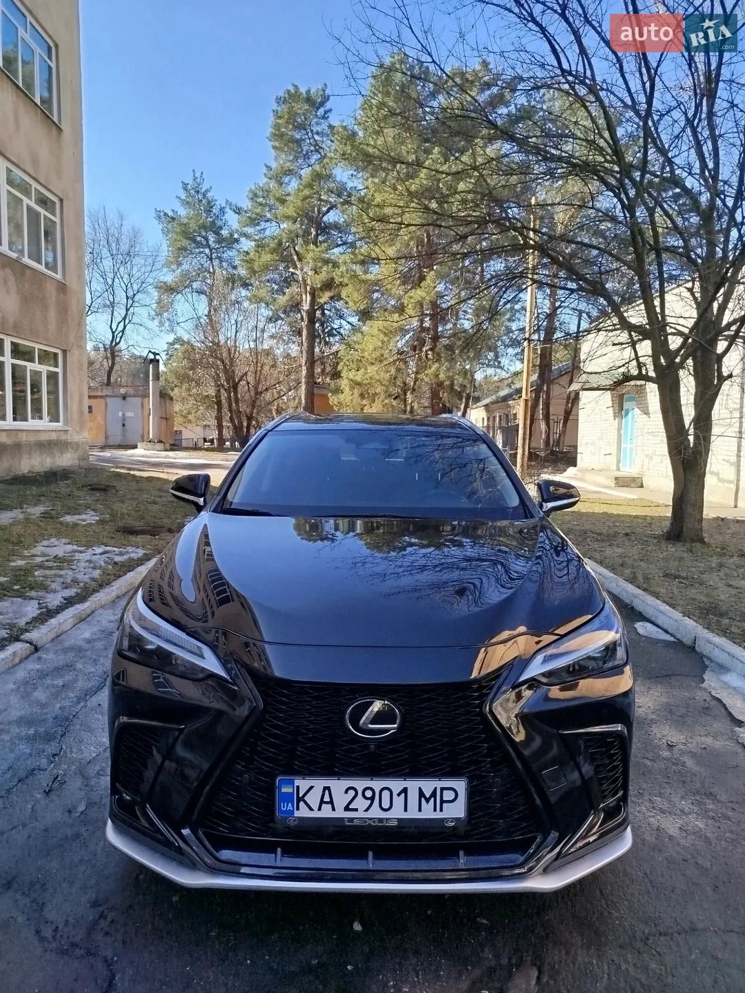2023 Lexus NX - мініатюра 6