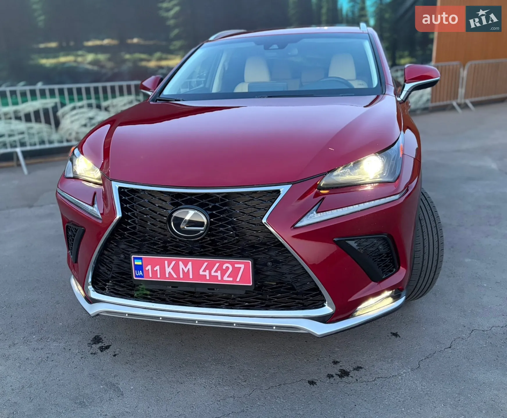 2020 Lexus NX - мініатюра 7