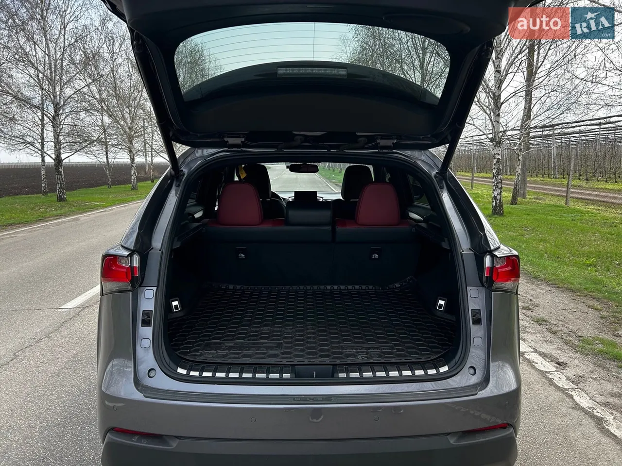 2015 Lexus NX - мініатюра 19