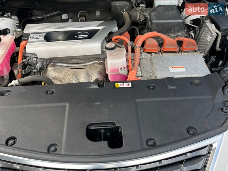 Позашляховик / Кросовер Lexus NX 2020 в Києві