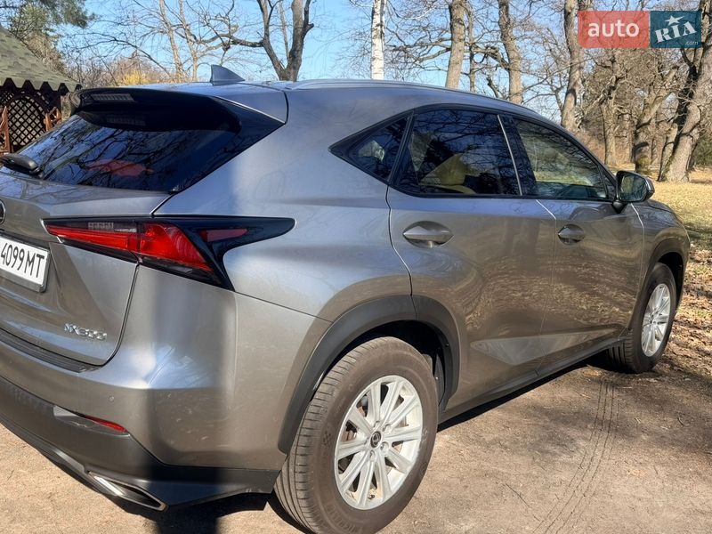 Внедорожник / Кроссовер Lexus NX 2018 в Киеве фото 5 Внедорожник / Кроссовер Lexus NX 2018 в Киеве