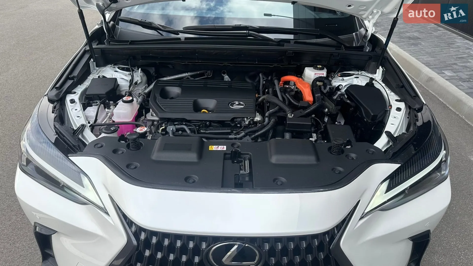 2024 Lexus NX - мініатюра 15
