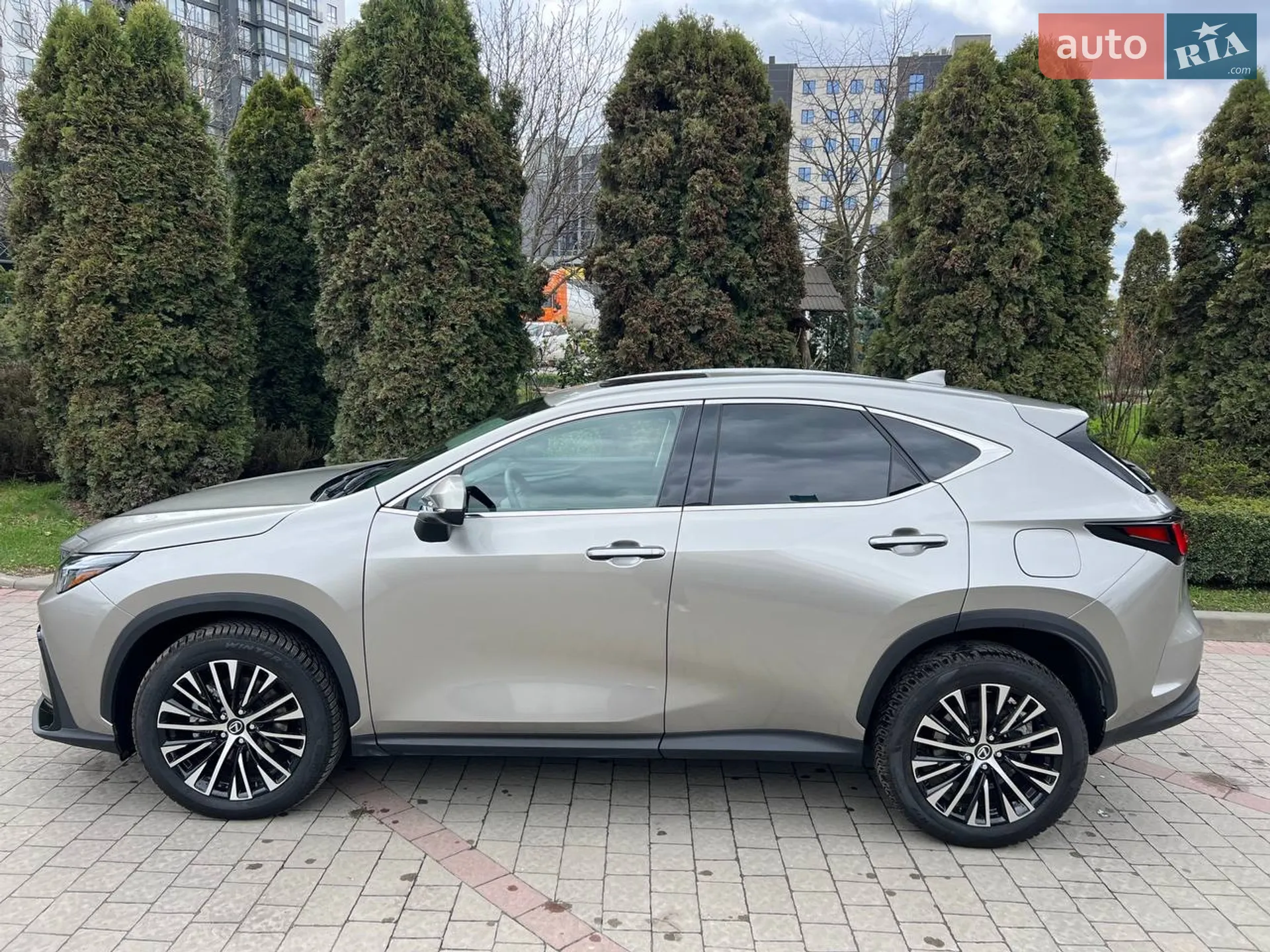 2024 Lexus NX - мініатюра 10