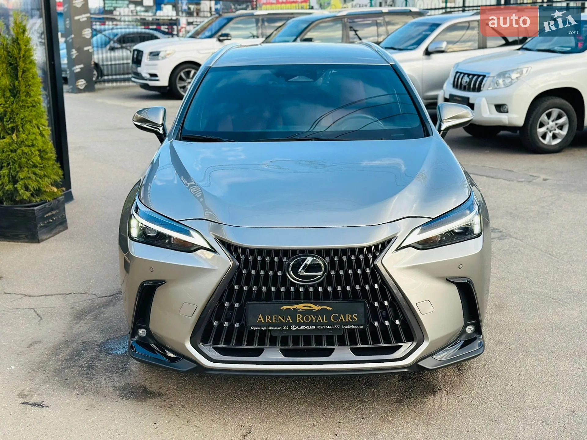 2025 Lexus NX - мініатюра 7