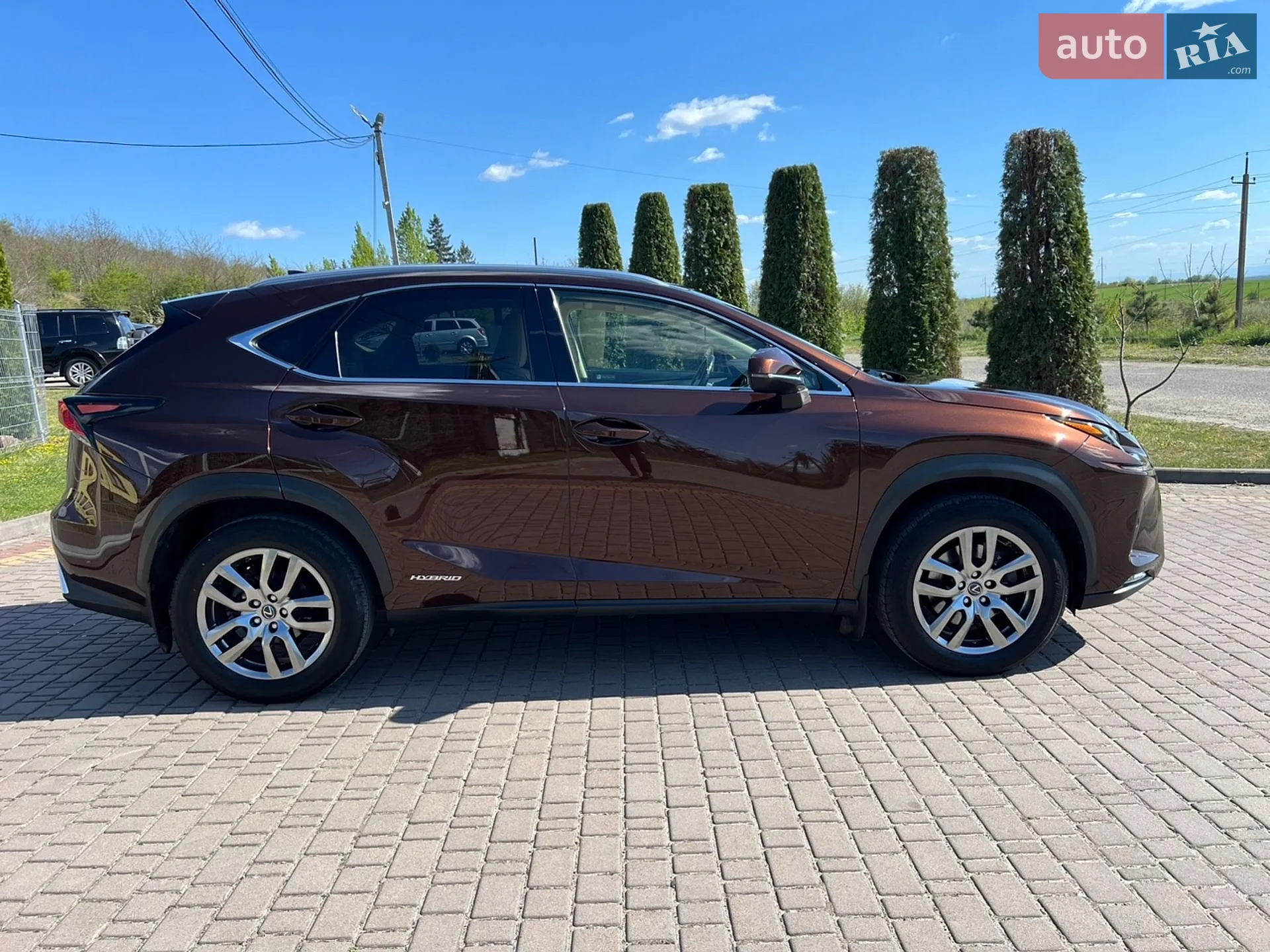 2019 Lexus NX - мініатюра 19