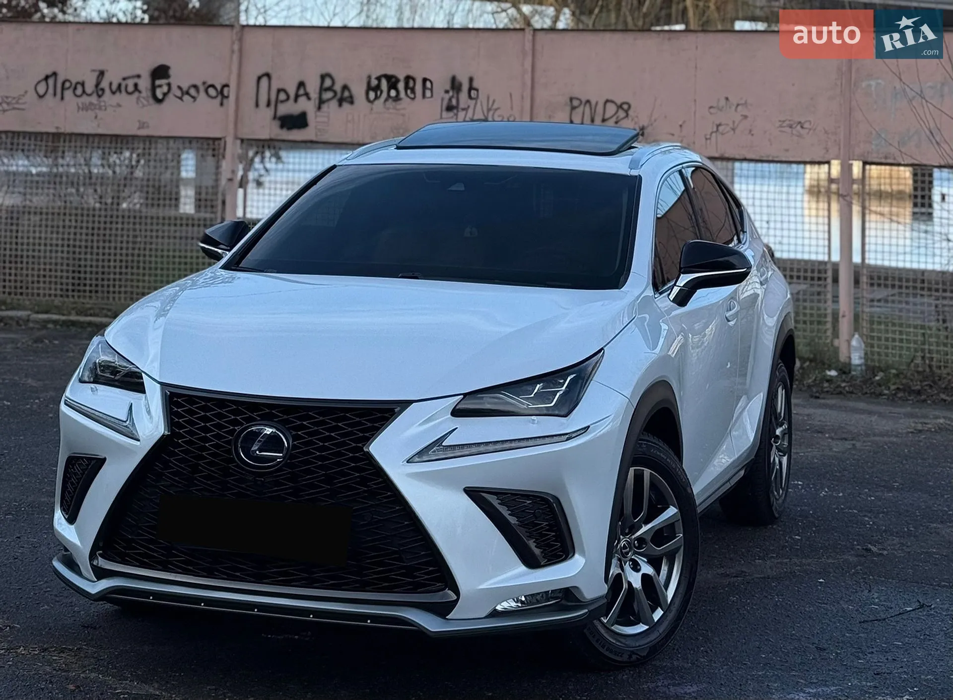 2019 Lexus NX - фото 1