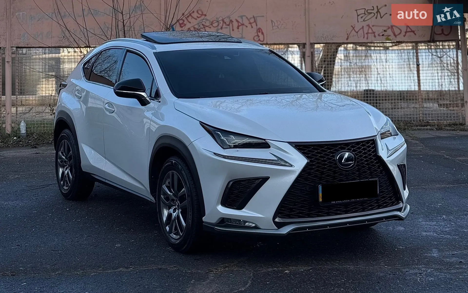 2019 Lexus NX - мініатюра 3