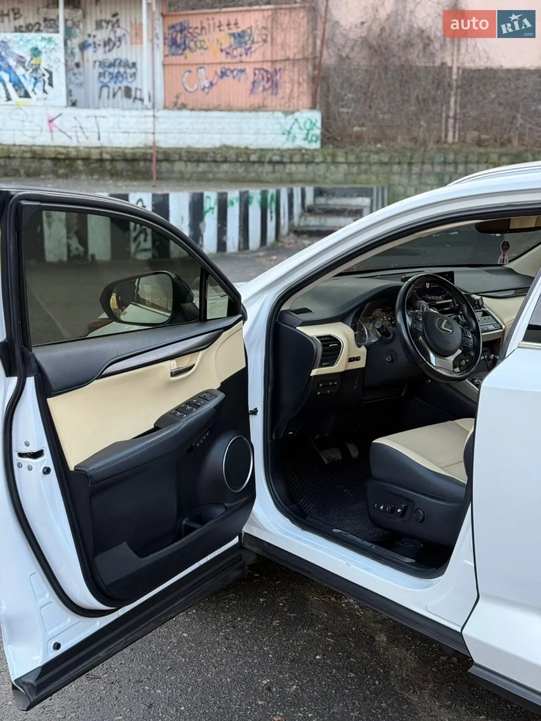 2019 Lexus NX - мініатюра 13