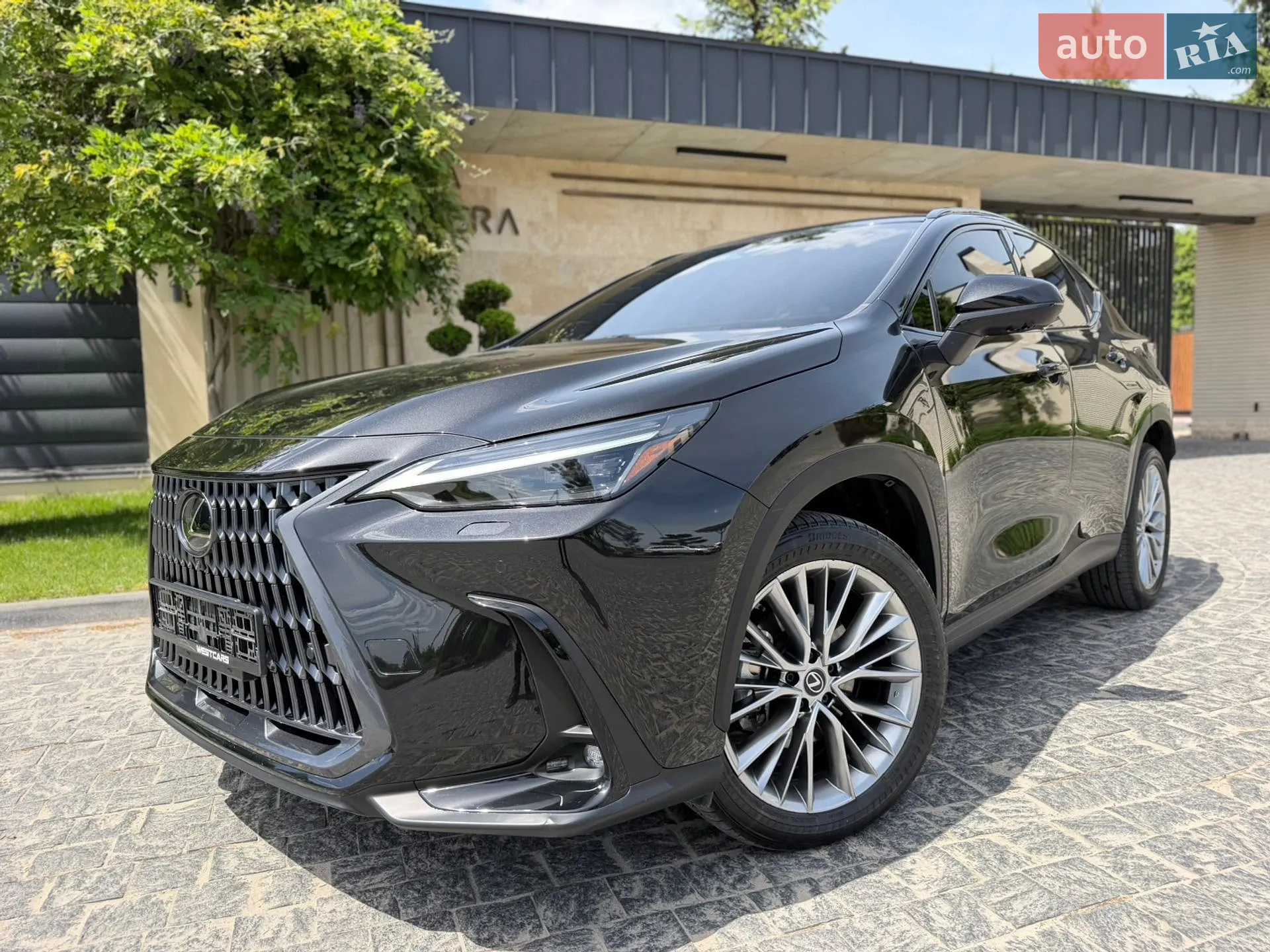 2023 Lexus NX - мініатюра 2