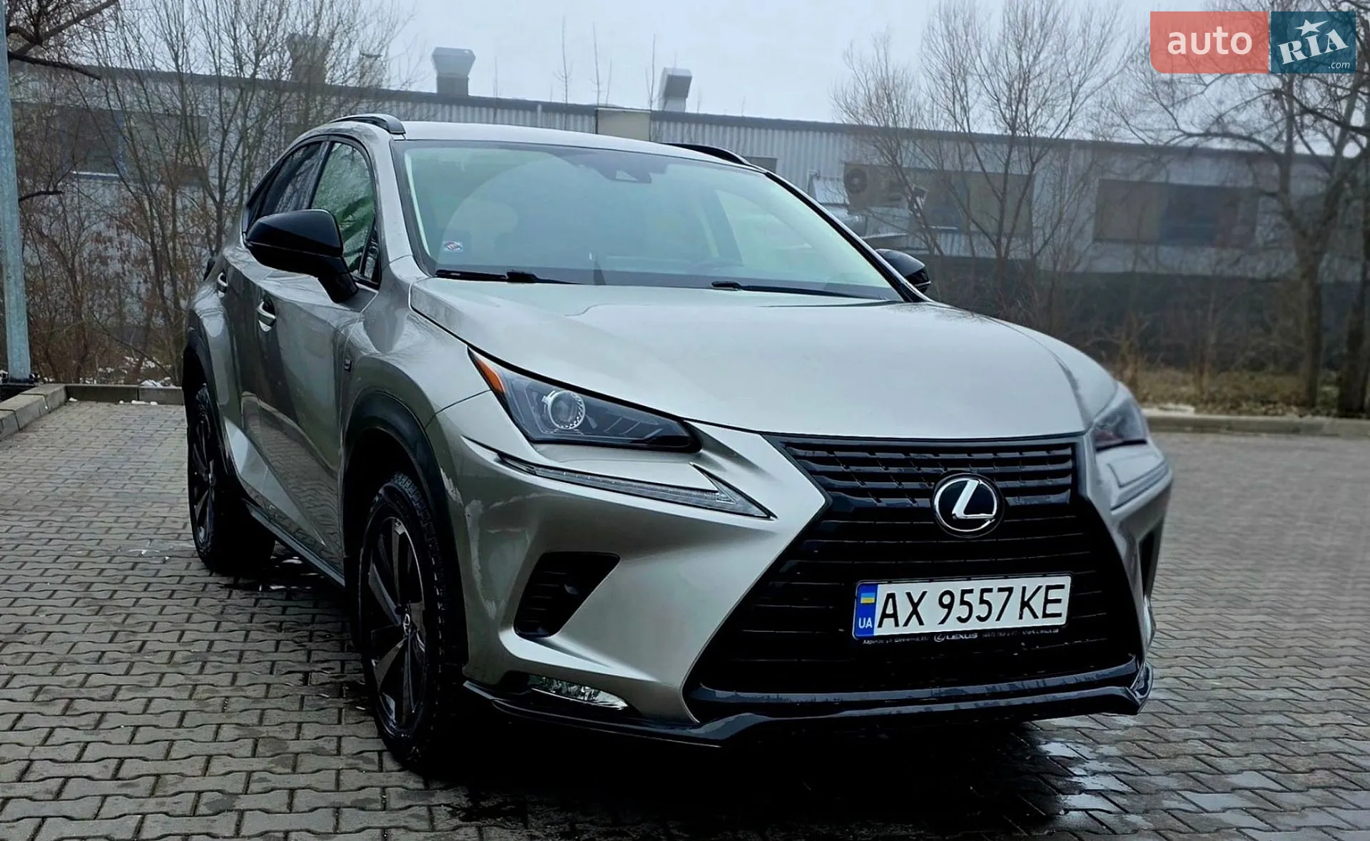 2021 Lexus NX - мініатюра 8