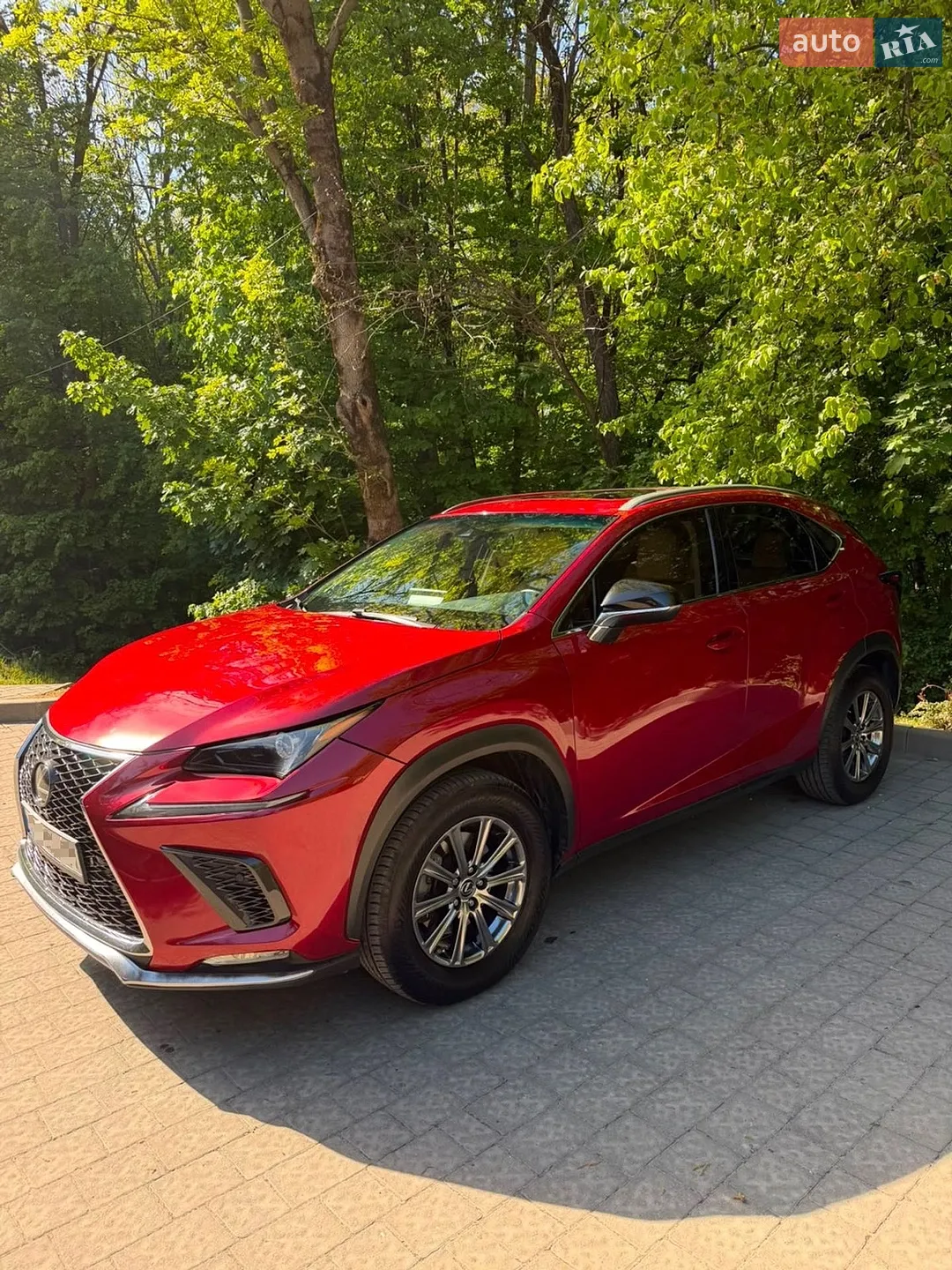 2019 Lexus NX - фото 1