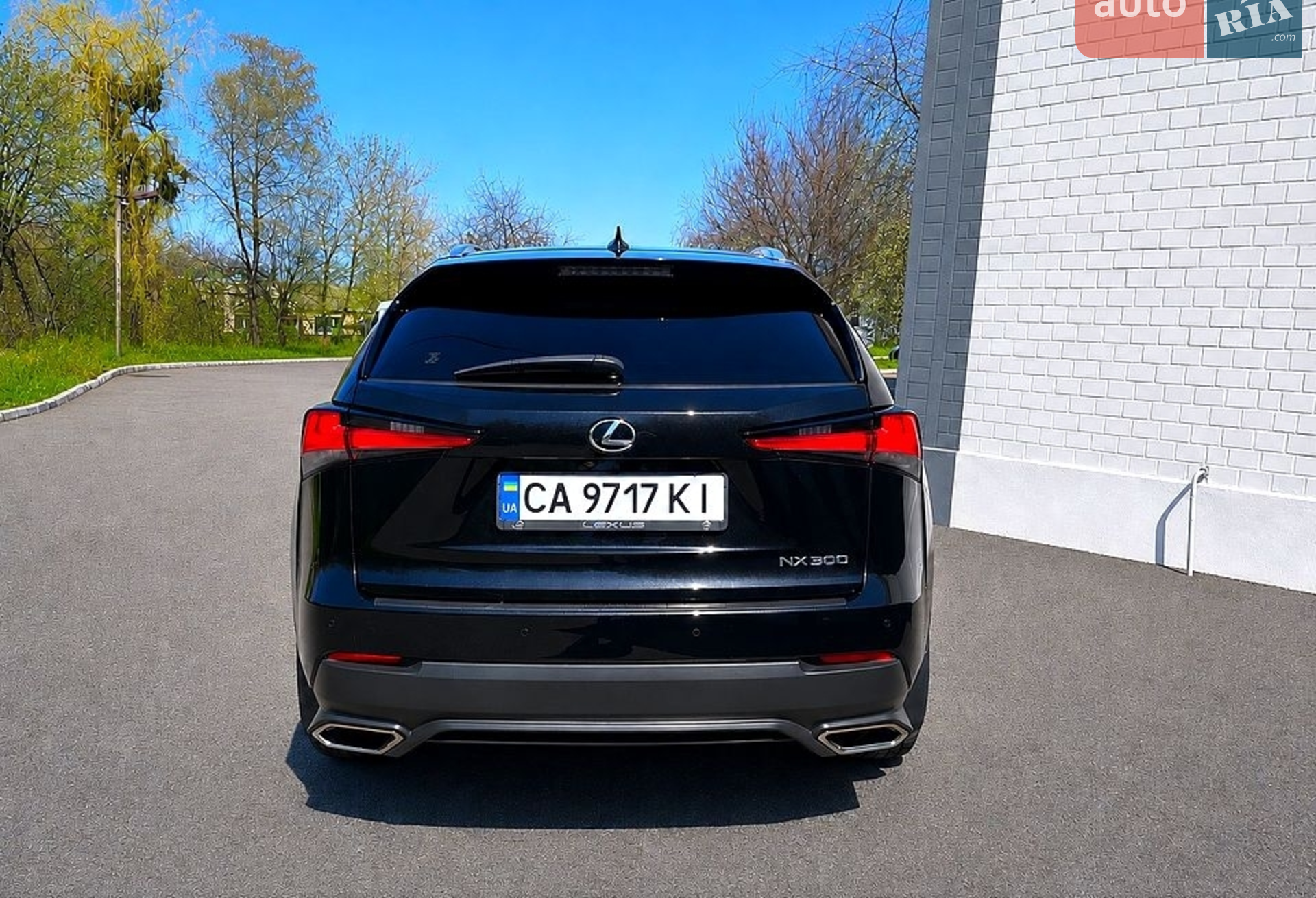 2019 Lexus NX - мініатюра 2