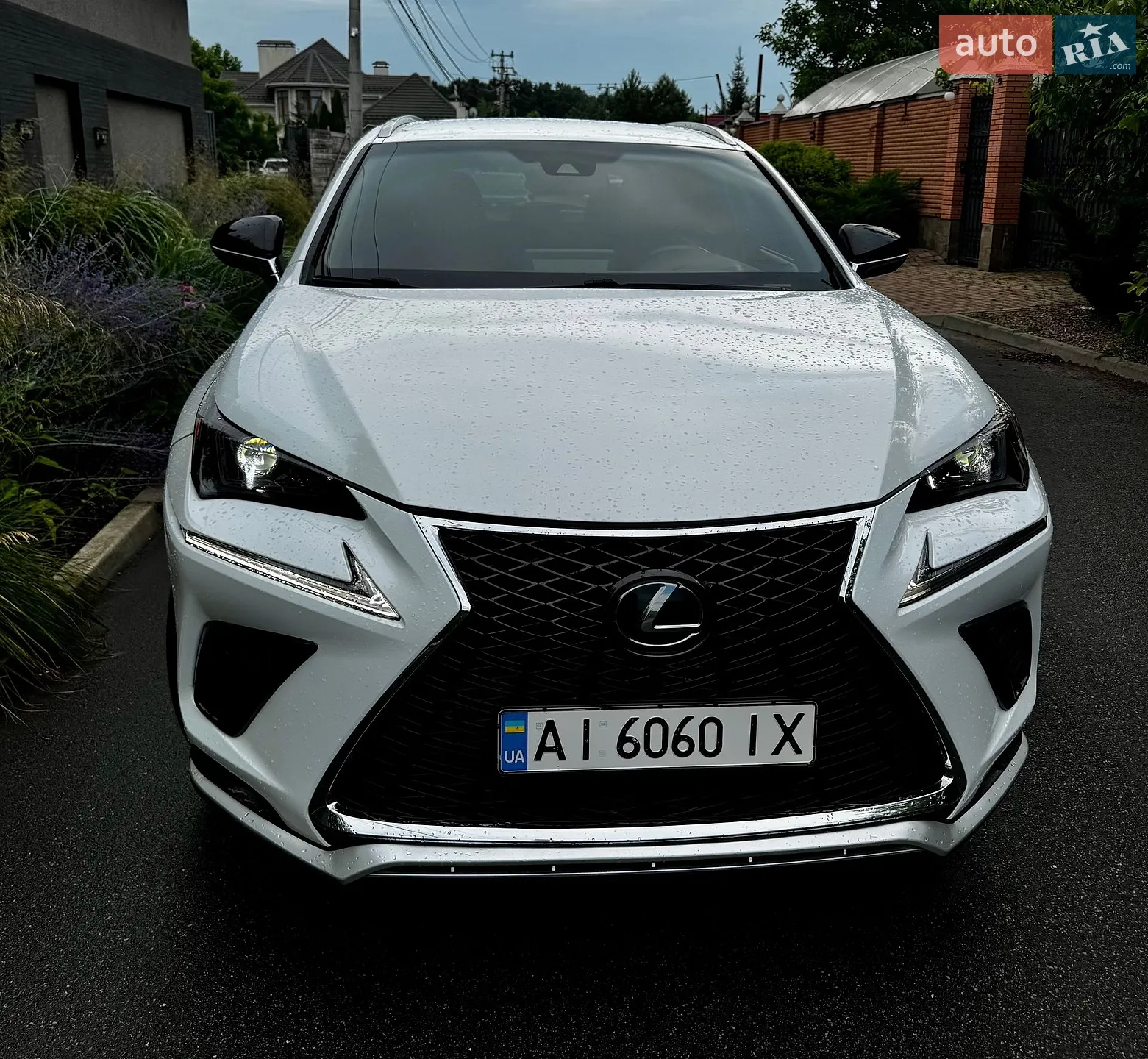 2021 Lexus NX - мініатюра 4