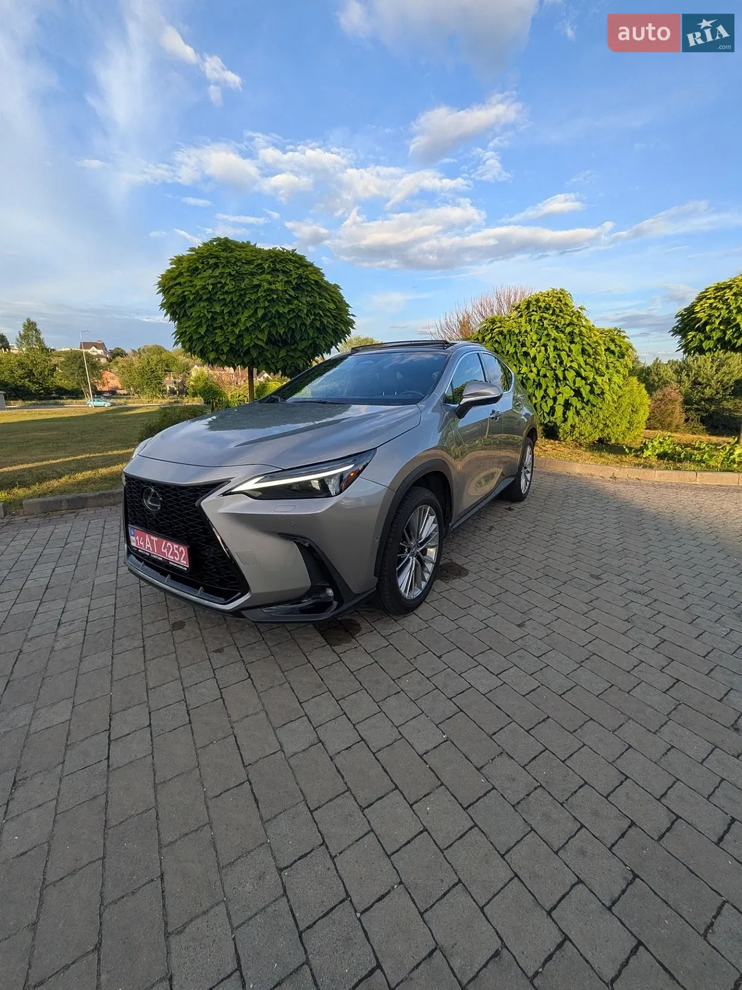 2022 Lexus NX - мініатюра 2