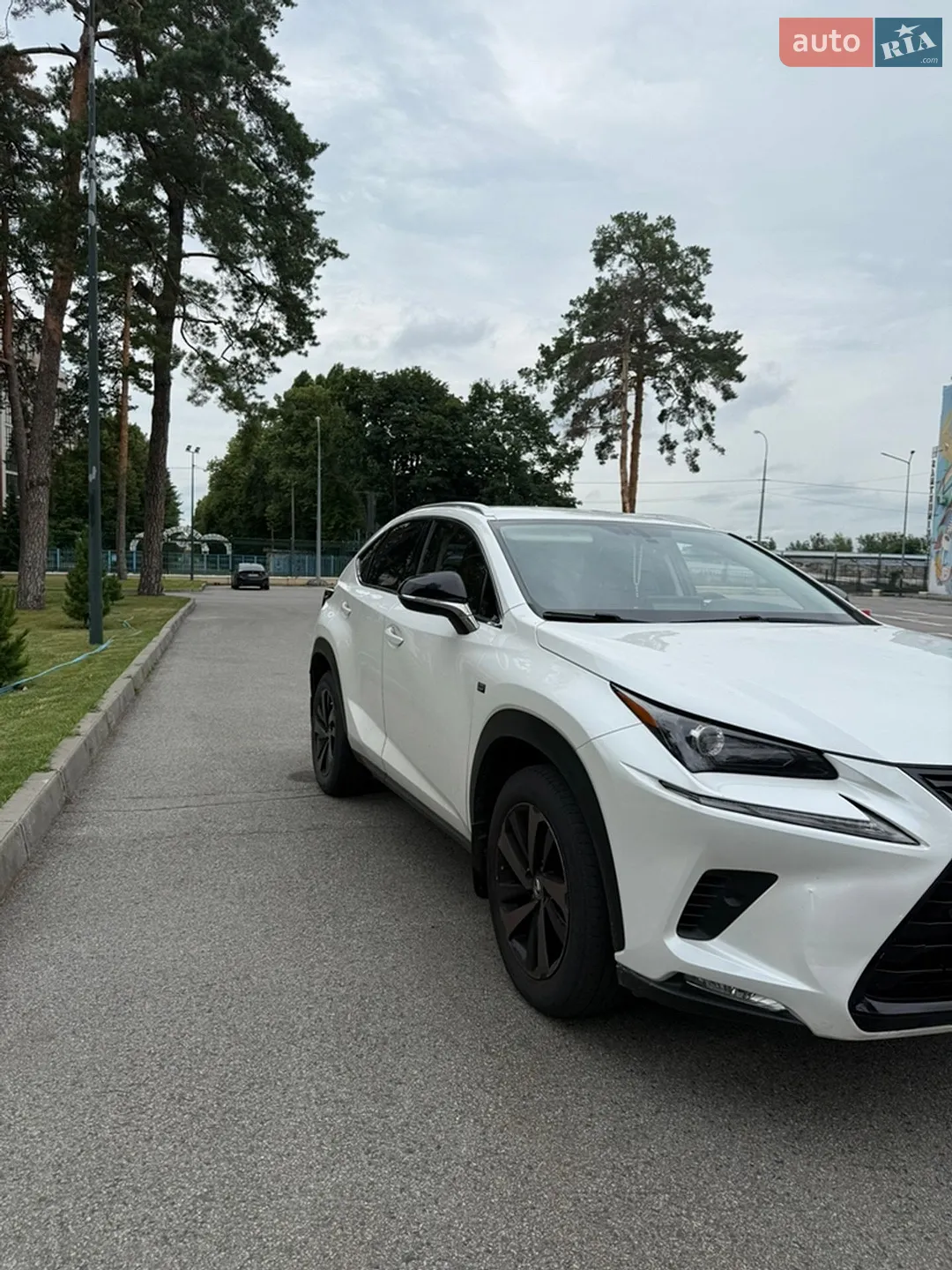 2019 Lexus NX - мініатюра 2