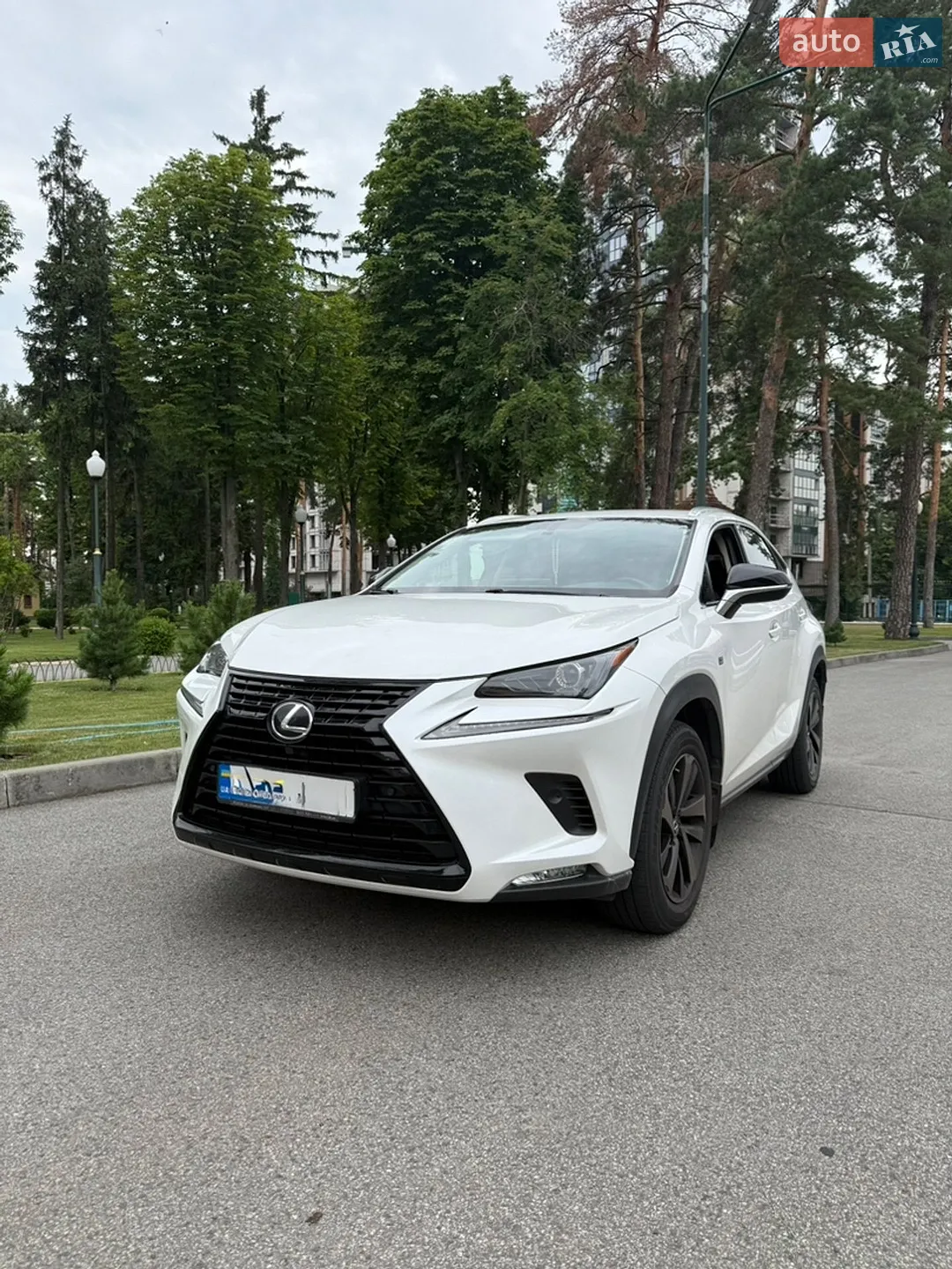 2019 Lexus NX - фото 1
