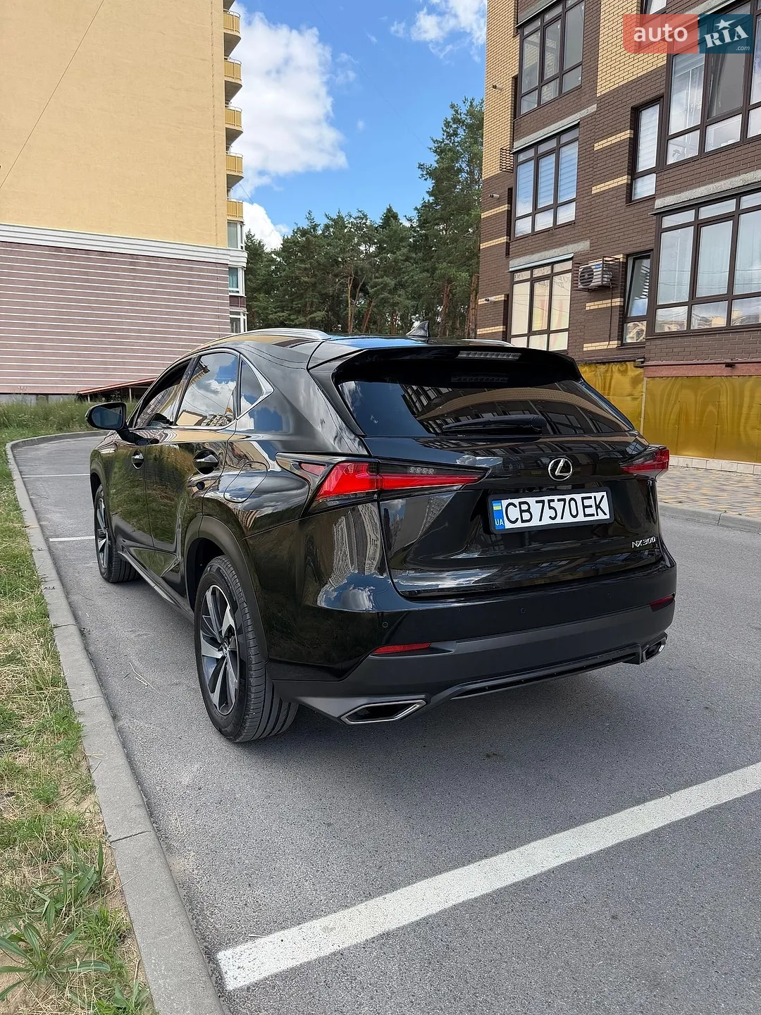 2018 Lexus NX - мініатюра 4