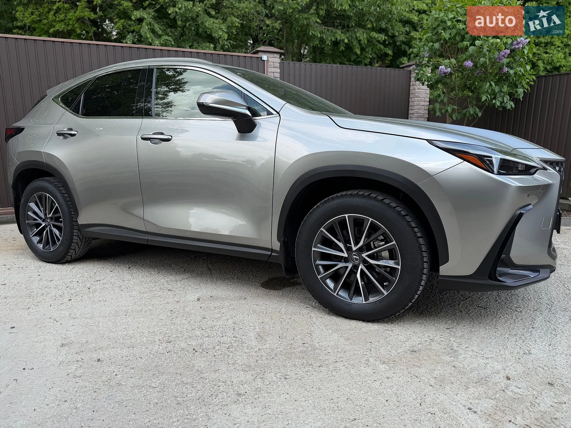 2023 Lexus NX - мініатюра 2