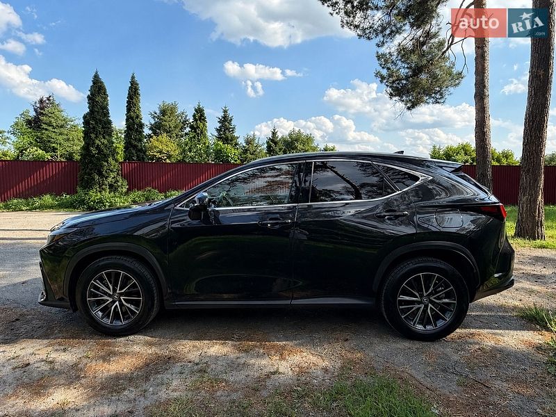 Позашляховик / Кросовер Lexus NX 2024 в Києві фото 8 Позашляховик / Кросовер Lexus NX 2024 в Києві