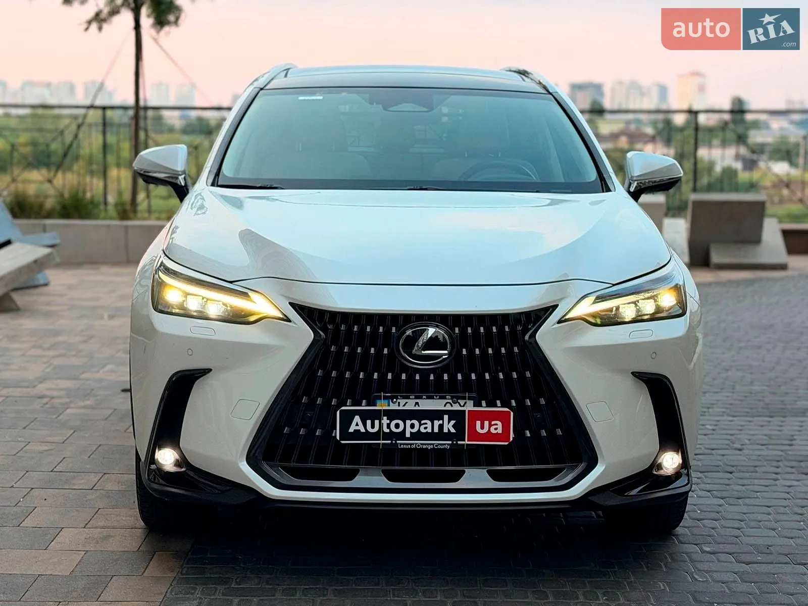 2024 Lexus NX - мініатюра 2