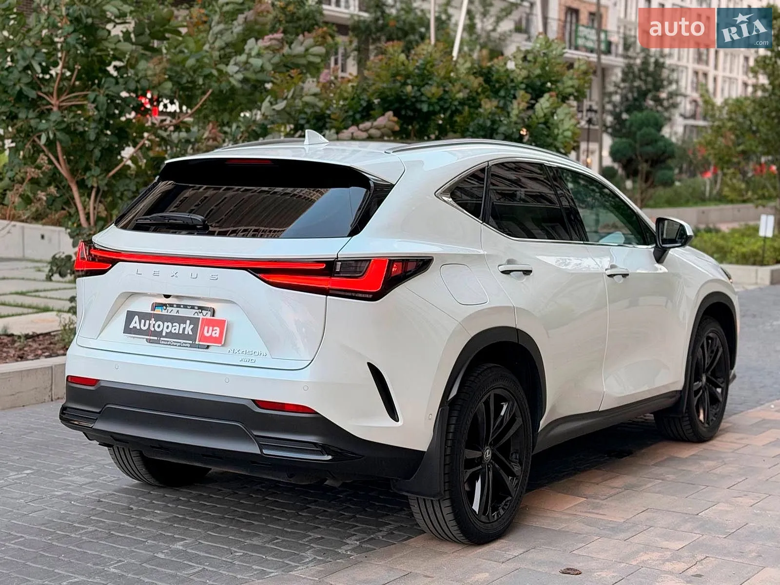 2024 Lexus NX - мініатюра 10