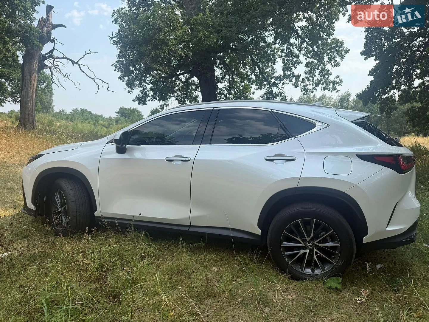 2022 Lexus NX - мініатюра 10