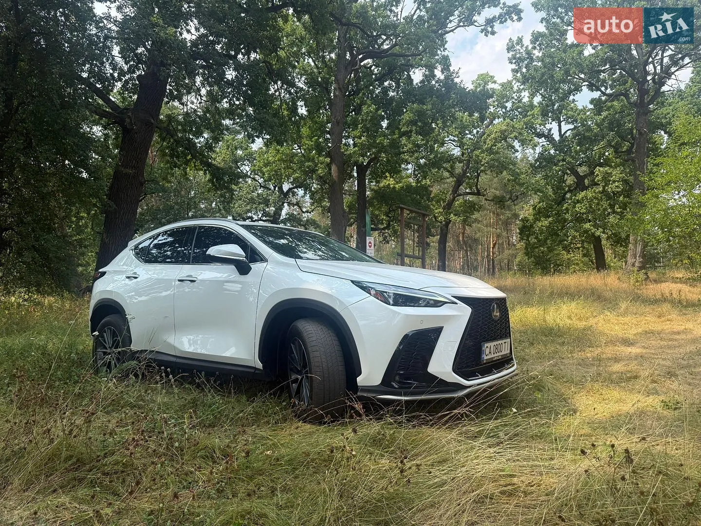 2022 Lexus NX - мініатюра 2