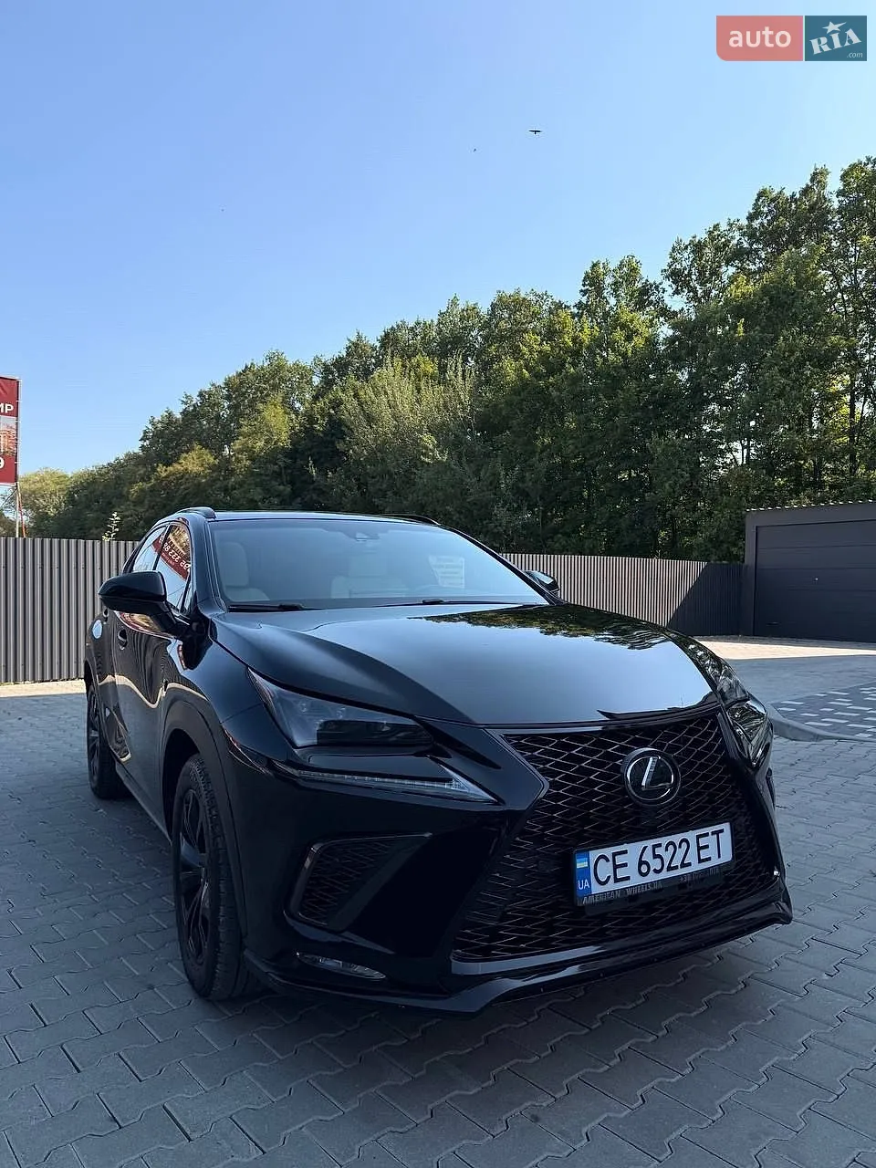 2019 Lexus NX - мініатюра 3