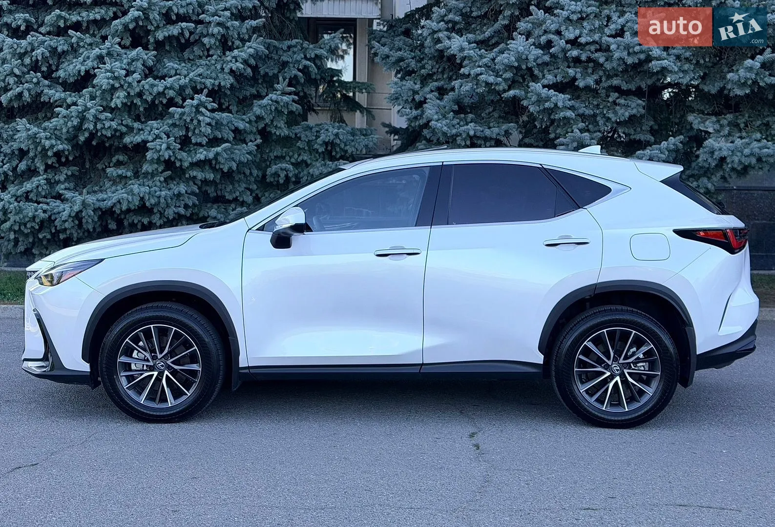 2025 Lexus NX - мініатюра 7