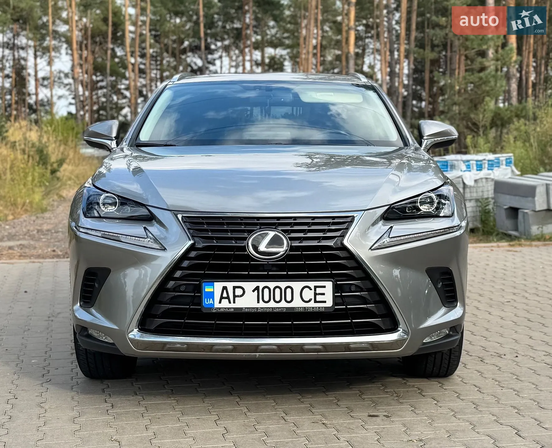 2019 Lexus NX - мініатюра 2