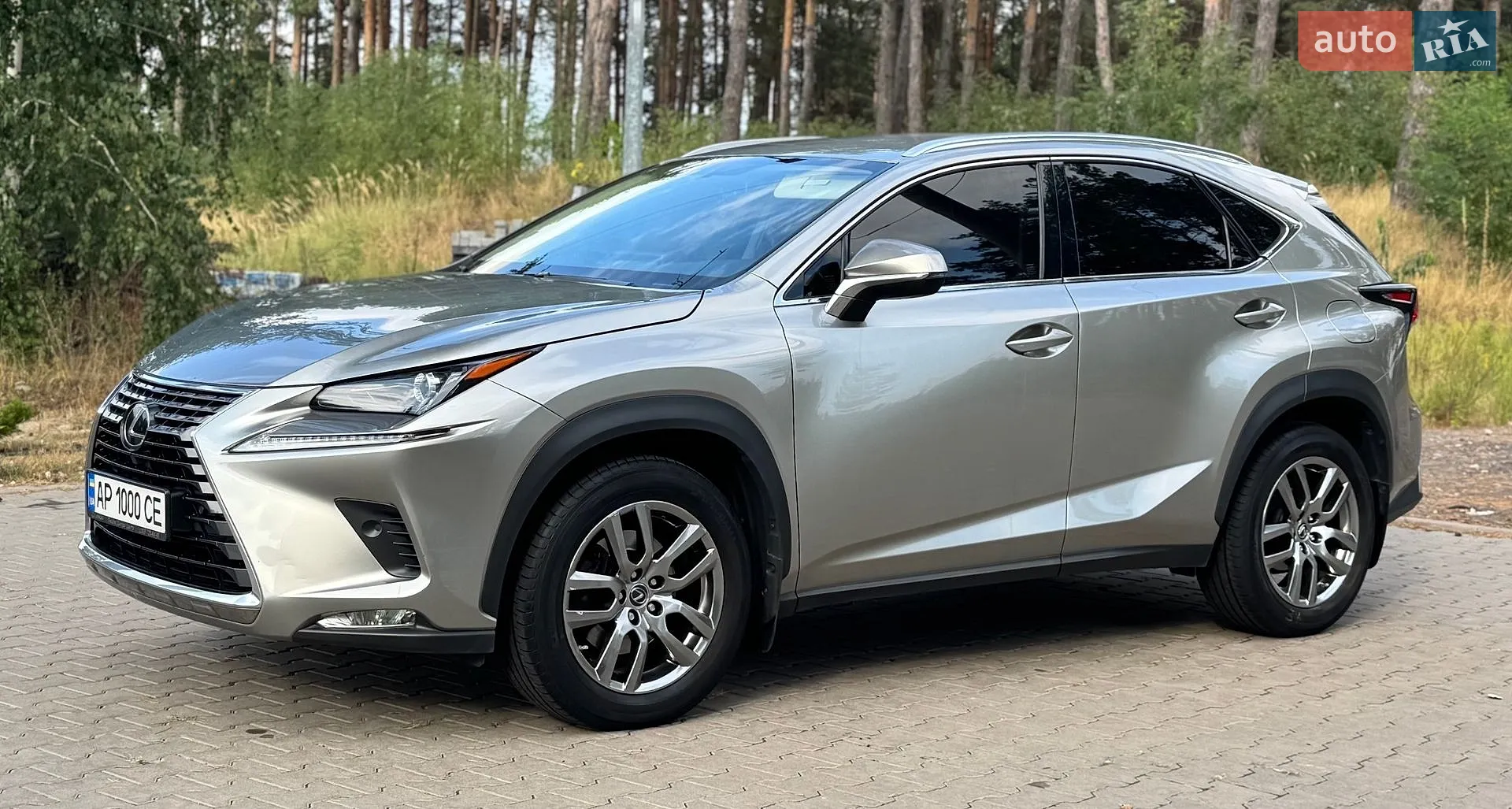 2019 Lexus NX - мініатюра 5