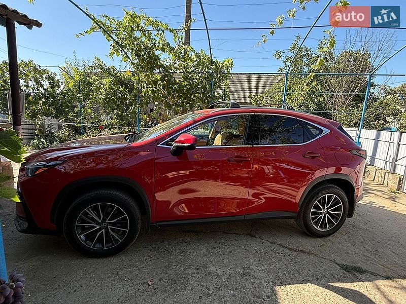 Внедорожник / Кроссовер Lexus NX 2024 в Одессе