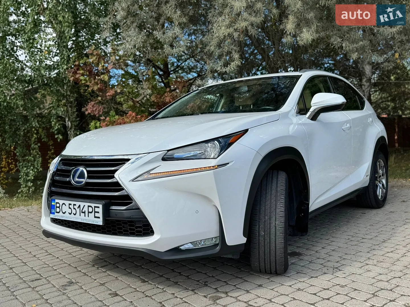 2014 Lexus NX - мініатюра 2