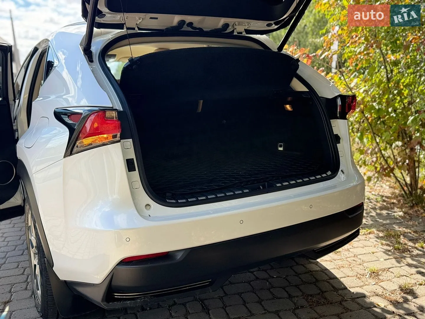 2014 Lexus NX - мініатюра 12