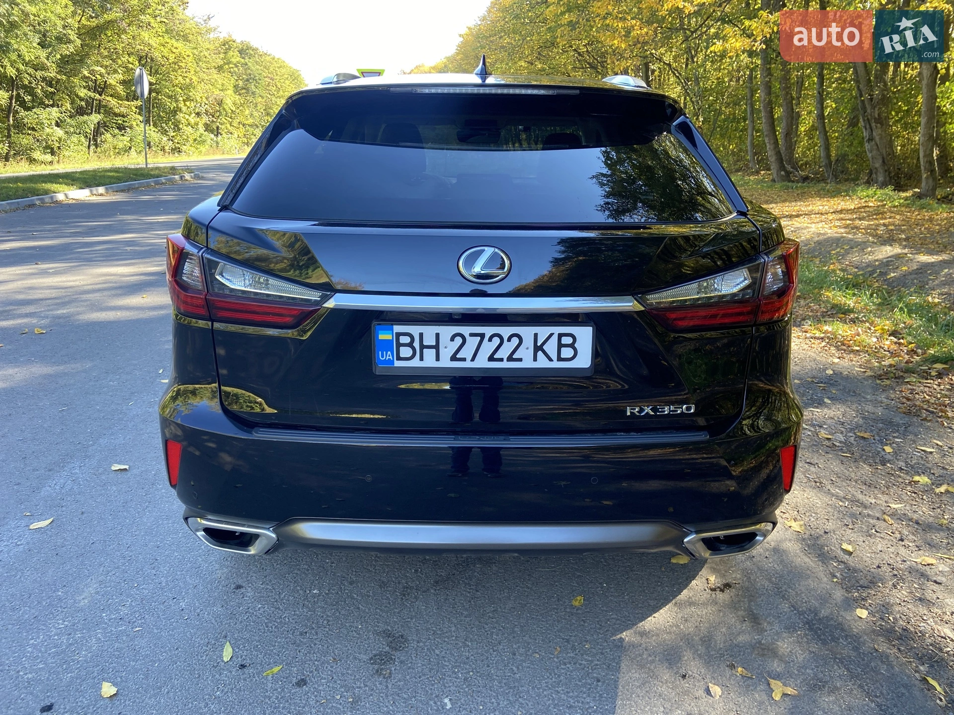 2019 Lexus RX - мініатюра 3