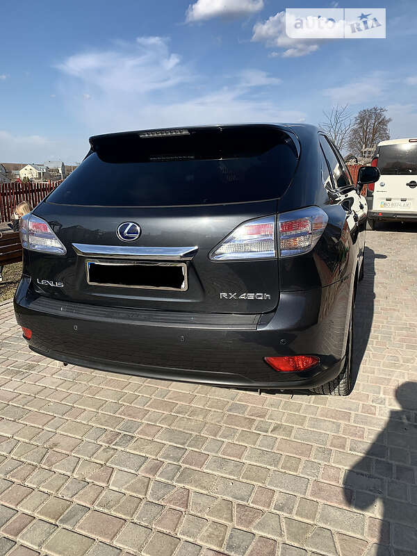 Внедорожник / Кроссовер Lexus RX 2009 в Тернополе