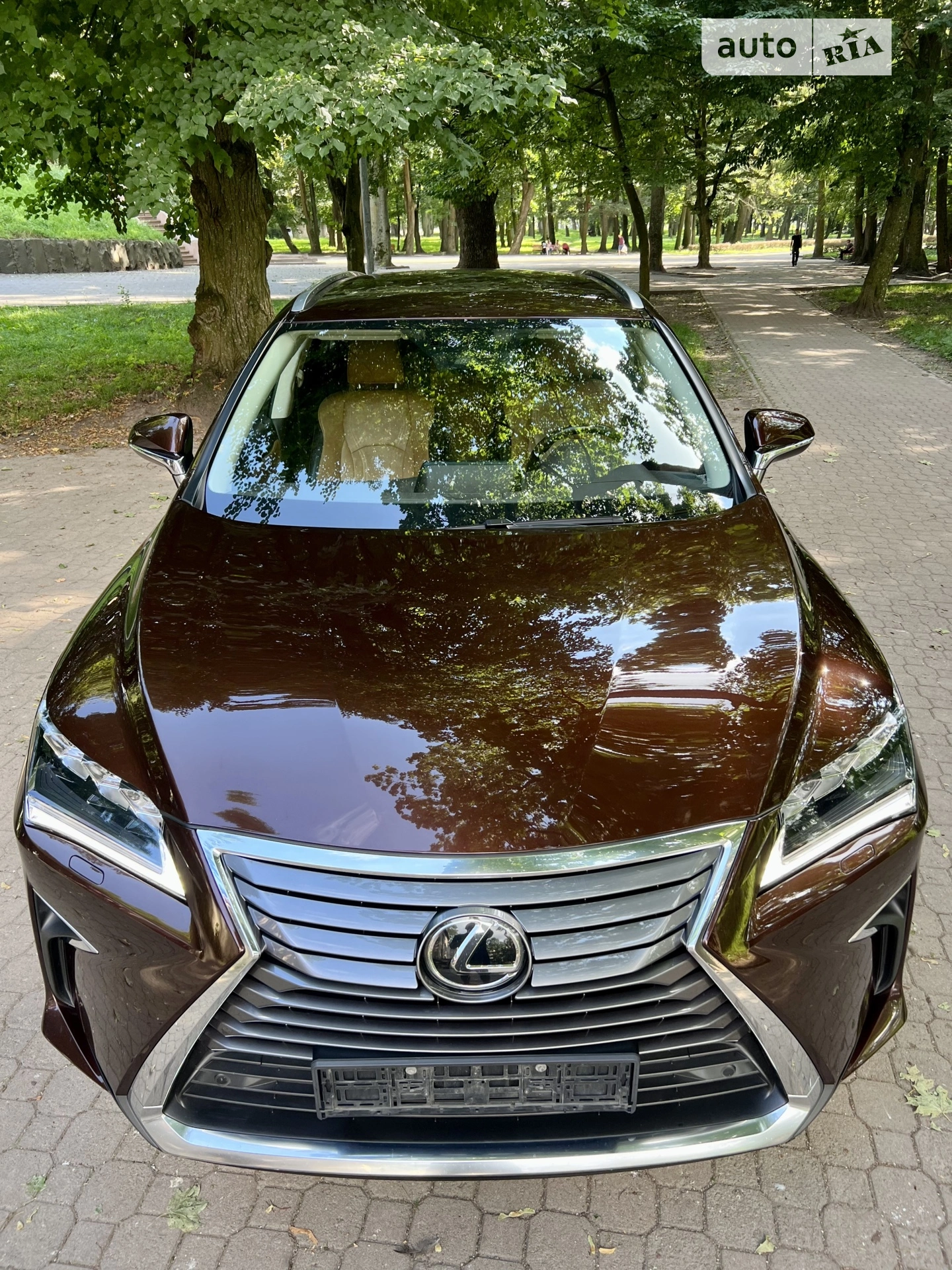 2019 Lexus RX - мініатюра 6