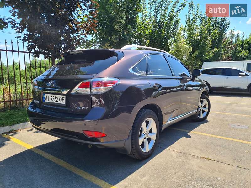 Внедорожник / Кроссовер Lexus RX 2013 в Киеве
