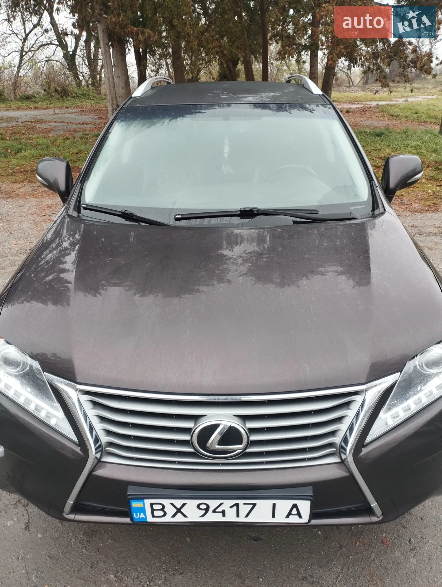 2013 Lexus RX - фото 1