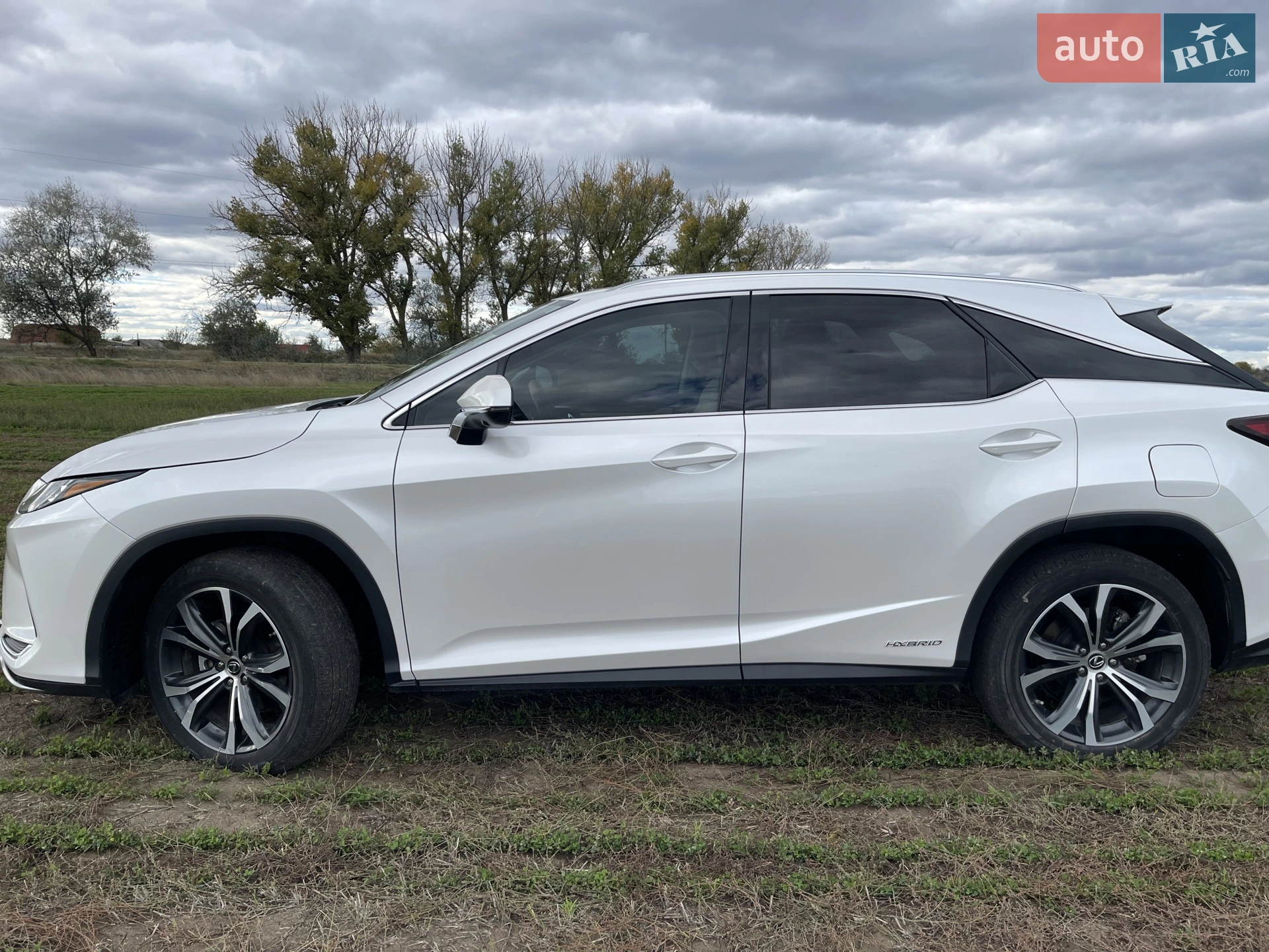 2022 Lexus RX - мініатюра 6