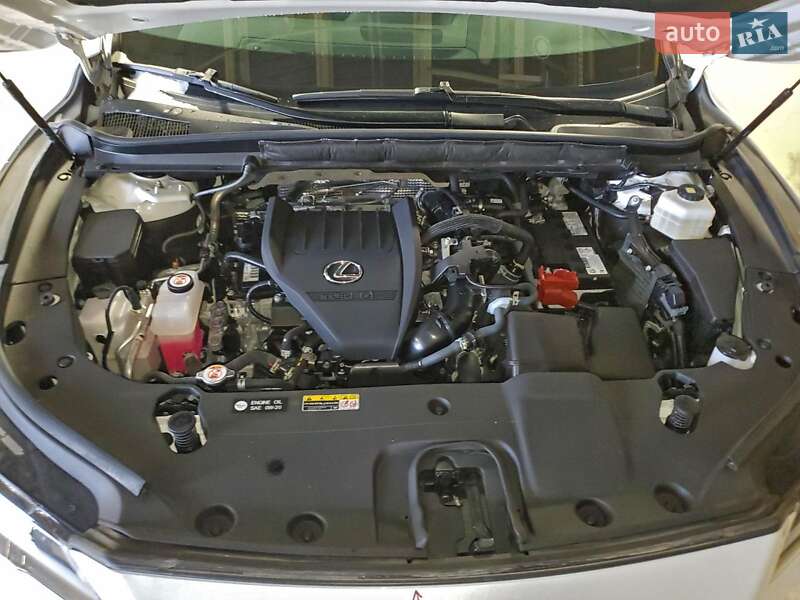 Внедорожник / Кроссовер Lexus RX 2024 в Киеве