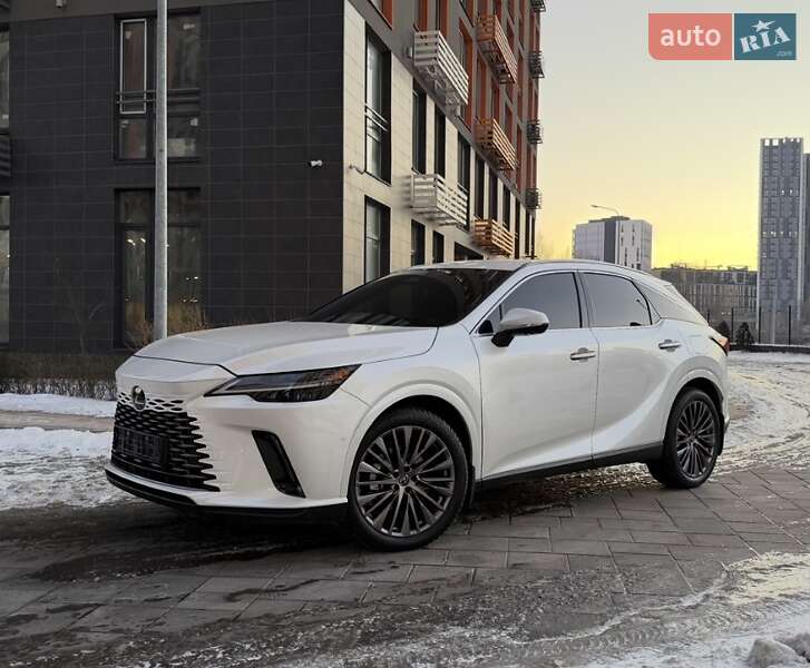 2023 Lexus RX, VIN JTJCNBJA002023653:plate — фото 1 (autoria)