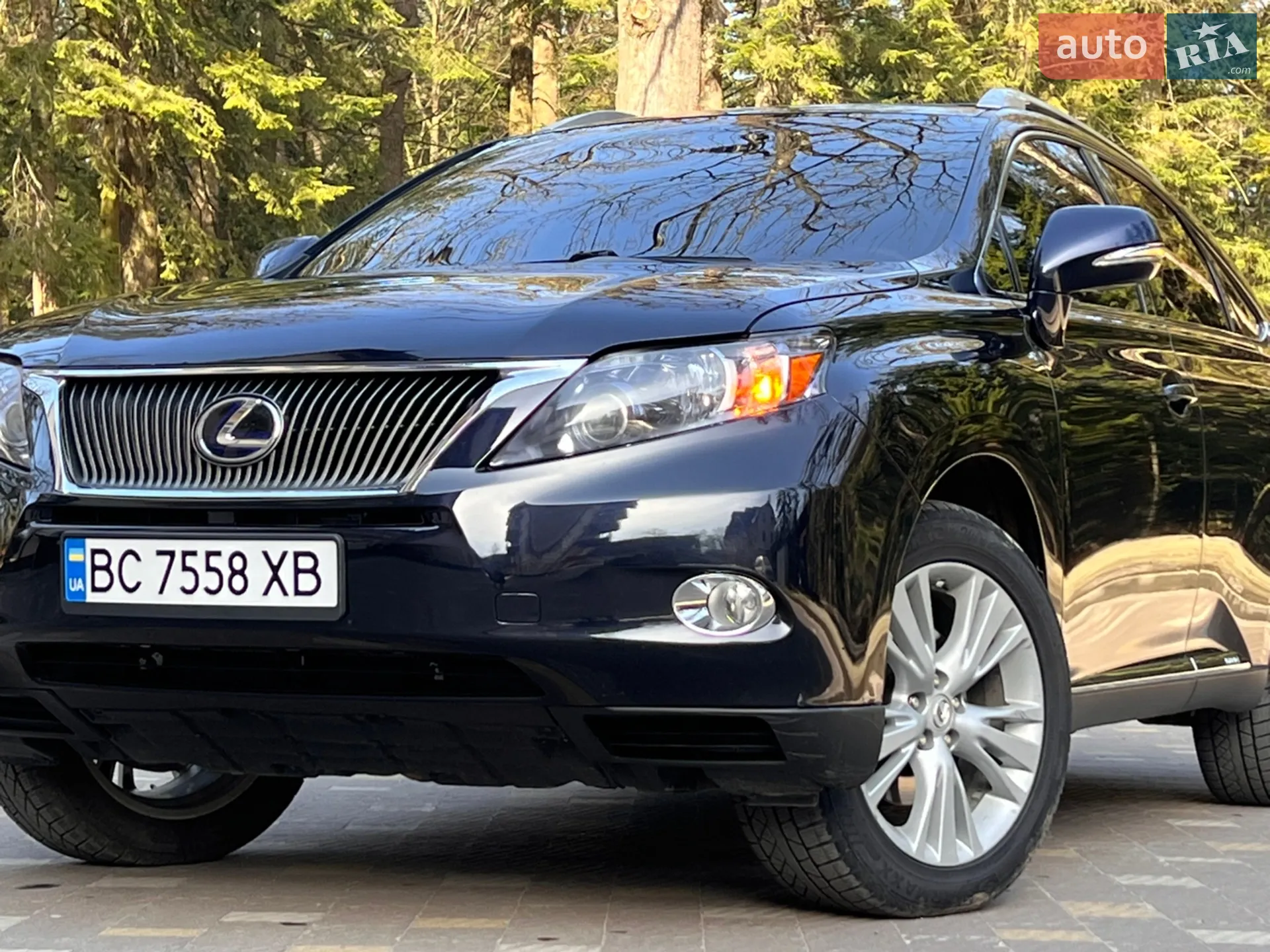 2010 Lexus RX - мініатюра 45