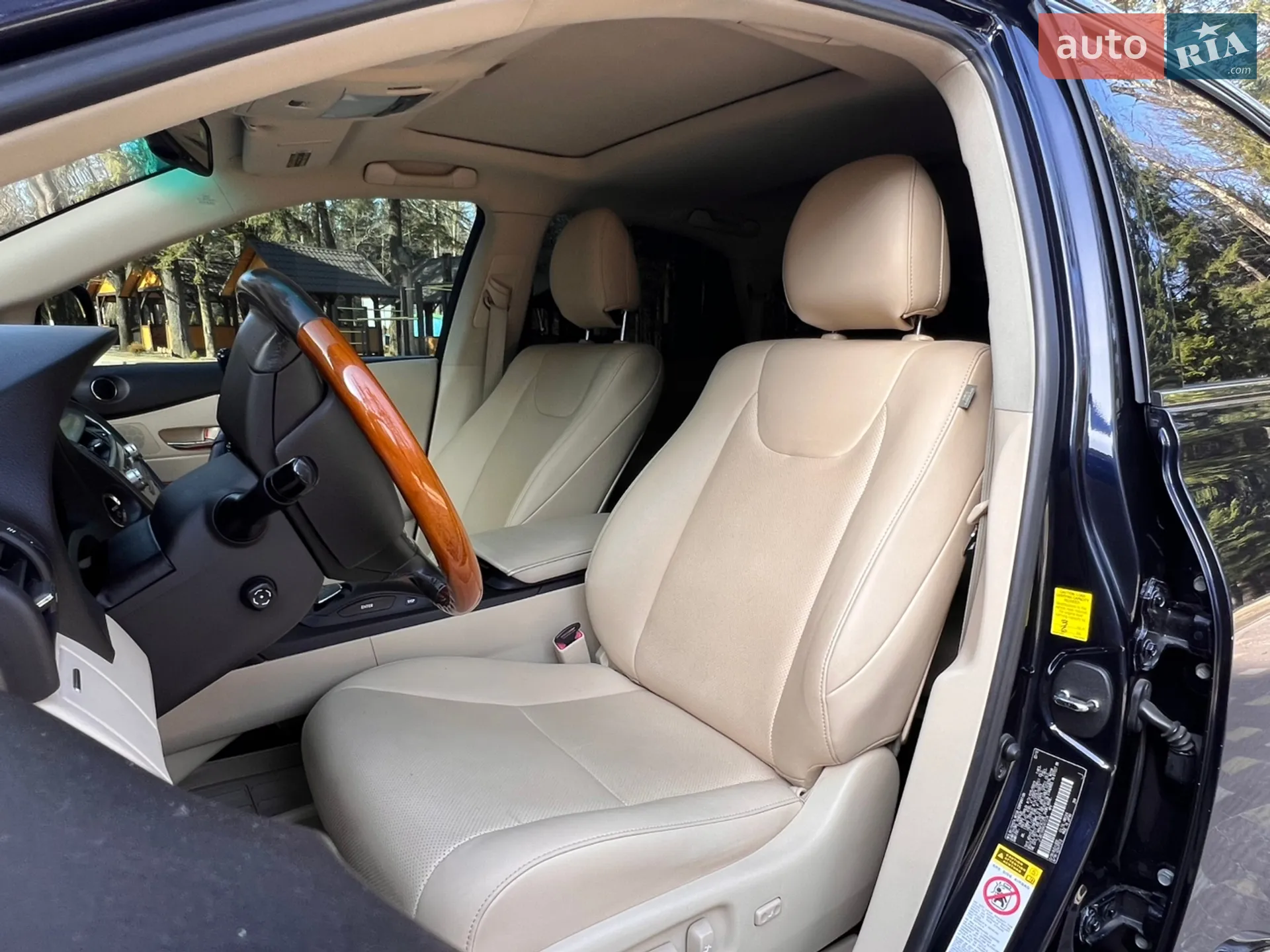 2010 Lexus RX - мініатюра 67