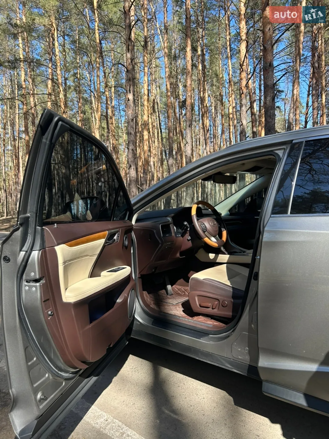 2017 Lexus RX - мініатюра 6