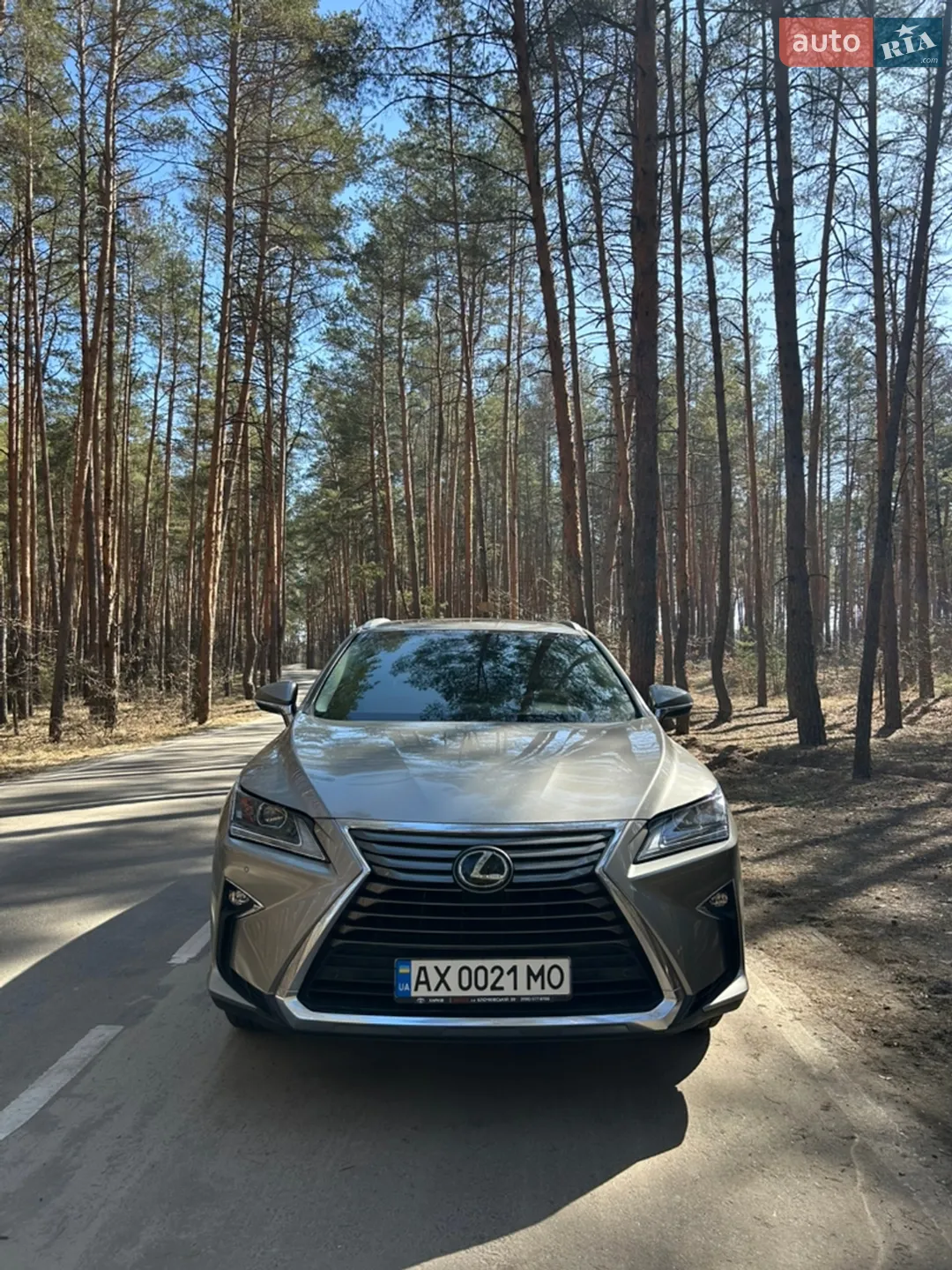 2017 Lexus RX - мініатюра 5