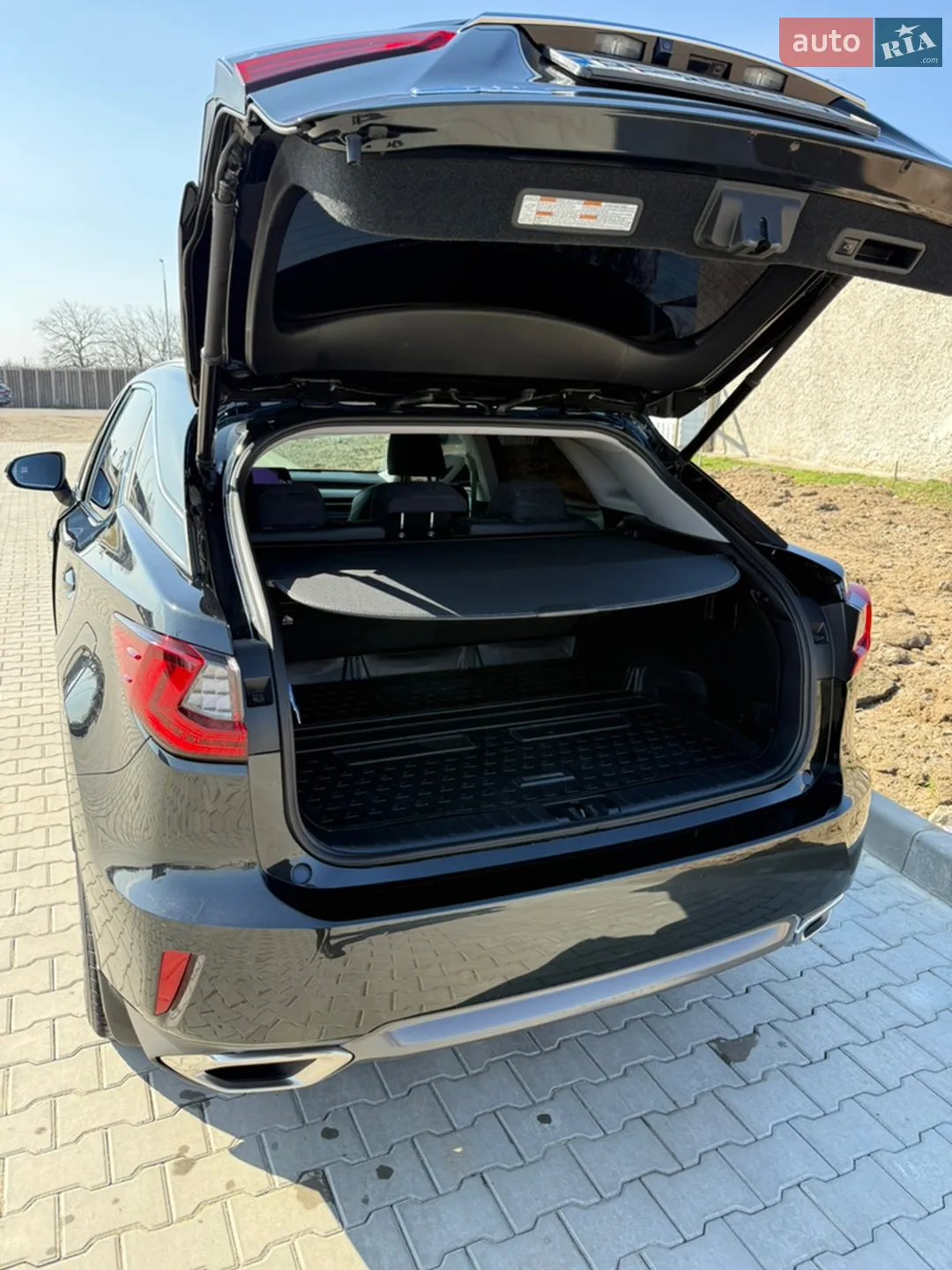 2018 Lexus RX - мініатюра 6